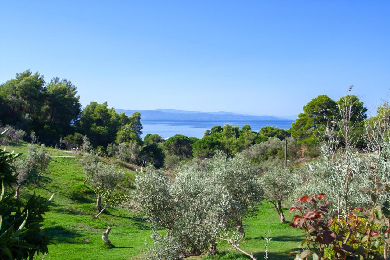 Angelos Studios Vromolimnos Bagian luar foto